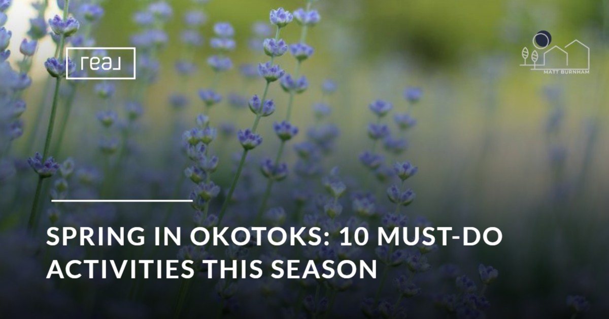 Spring in Okotoks: 10 Must-Do Activities This Season